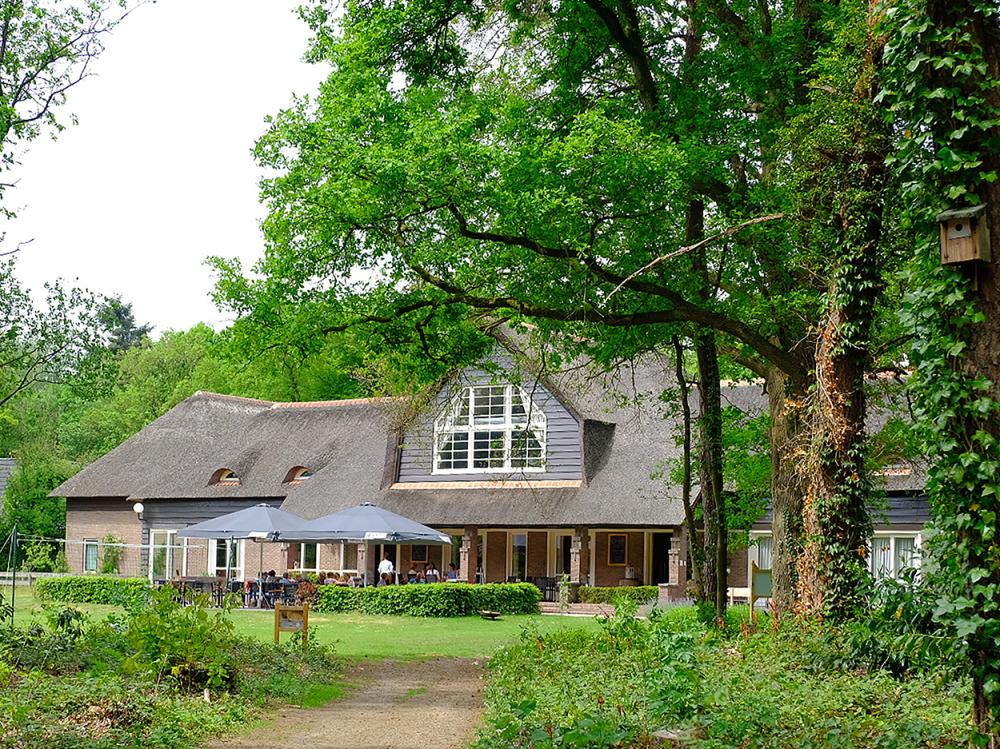 Landgoed Hotel Woodbroke Zicht vanaf bos